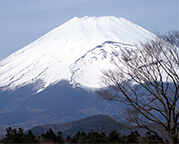 富士山コース